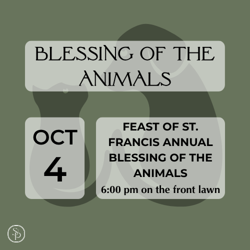 Feast Of St. Francis Blessing Of The Animals